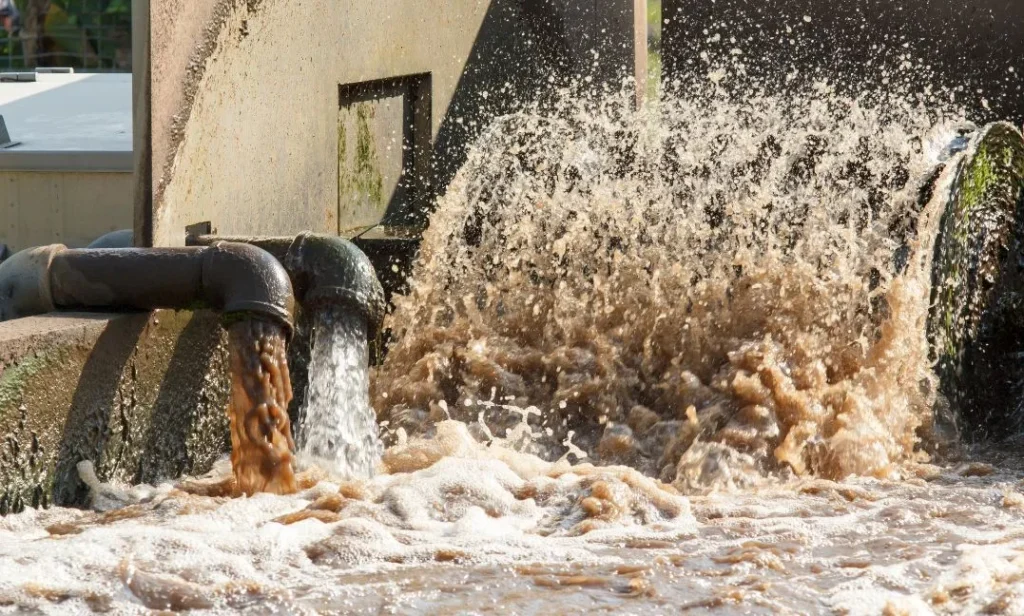 Hava Temizleme ve Koku Kontrolu